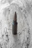 Bullet