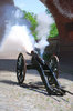 Napoleonic artillery crew by t