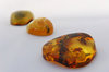 Amber stones in perspective