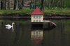 Swan and his house 2