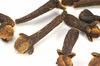 Cloves 4