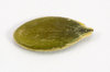 Pumpkin's seed