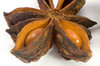 Aniseed