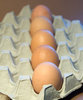 Eggs 5