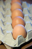Eggs 3