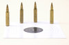 Target and ammo 3
