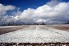 Rural winter panorame 1