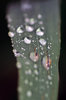 Pure water in the nature 3