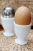 Egg 1