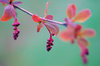 Colours of the autumn
