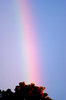 Rainbow 2