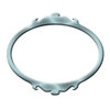Oval decorative picture frame 