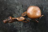 Handle in apple form