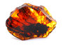 Natural baltic amber  4
