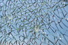 Broken glass texture 4