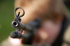 Iron sights on gun barrel