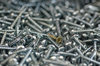Texture with screw 3