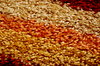 Carpet texture 5