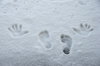 Footsteps and hand-marks on th