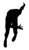 Silhouette of runner