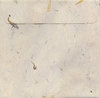 Square envelope for CD 2