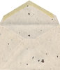 Old envelope 3