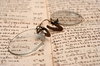 Pince-nez or vintage spectacle