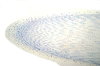 Onion - microscopic view 1