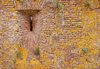 Fortress wall 3