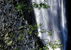 Running water_5
