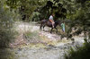 riding