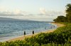 Hawaiian Coast