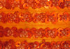 orange reflections-04