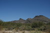Ash Meadows