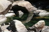 Yosemite National Park