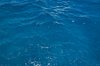 The Sea, Up Close and Personal
