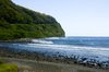 Hawaiian Coast