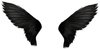 Black Wings