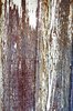 Weathered wood