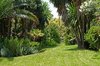 Garden background