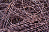 Rusted barbed wire