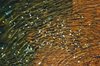 various textures