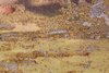 various textures