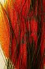 dust of color 22