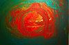 water paint  18
