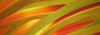 water paint  20