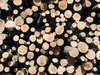 Chopped Wood