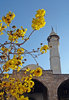 Shades of religion