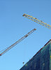 Cranes again
