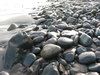 Stony beach 3